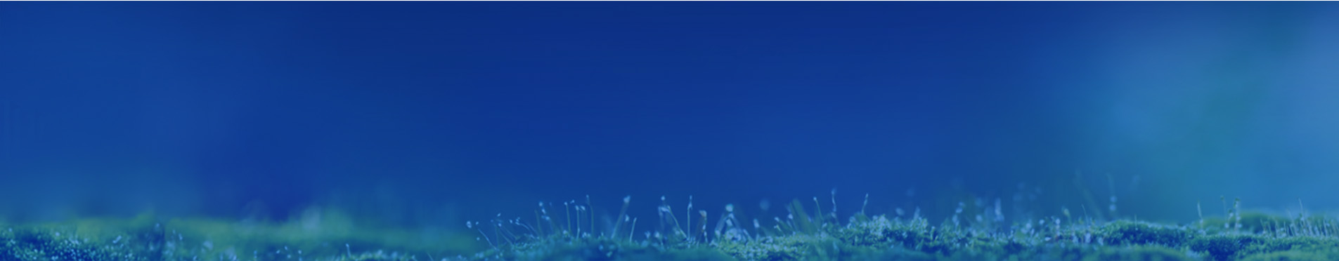 Kết quả Xếp hạng Tín nhiệm